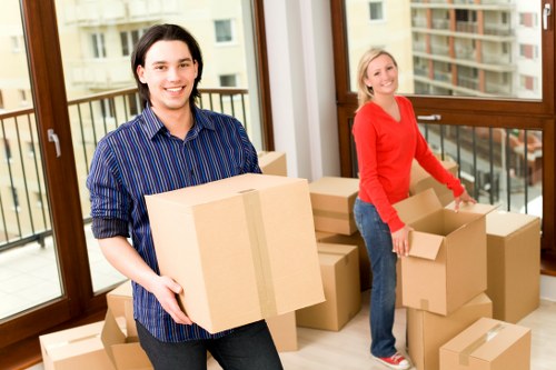 Wardrobe boxes and protective wrapping for household packing